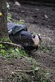gdc_ilmenau_08-07-2012_0513